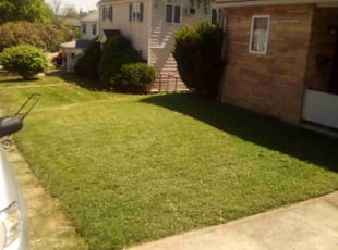 David B.'s lawn service service result
