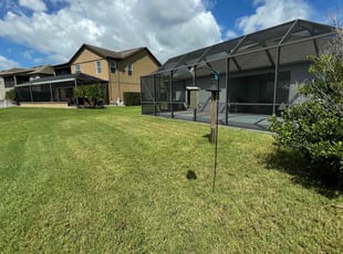 Lauren B.'s grass cutting service result