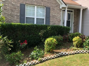 Yolanda J.'s Bush Trimming service result