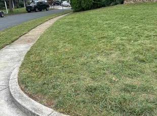 Eric M.'s lawn care services service result