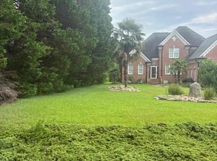 Julie M.'s grass maintenance service result