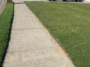 Cathy L.'s grass maintenance service result