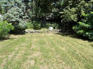 Dora T.'s Bush Trimming service result