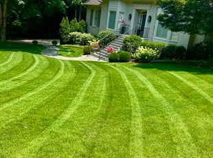 Susan M.'s lawn care service result