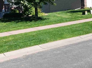 Craig L.'s turf care service result