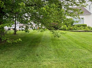 Chad M.'s turf maintenance service result