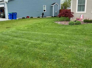 Ray P.'s lawn care service result