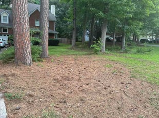 William C.'s grass cutting service result