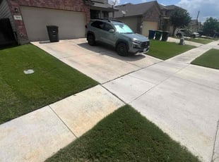 Waqas A.'s grass maintenance service result