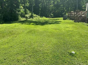 Vondella P.'s grass maintenance service result