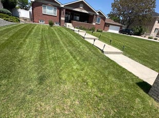 Steven H.'s lawn care service result