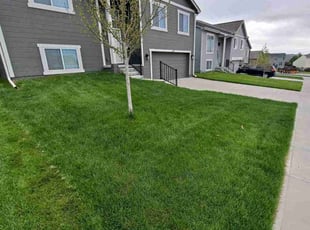 Jessie J.'s lawn maintenance service result