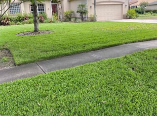 Brandi Q.'s lawn maintenance service result