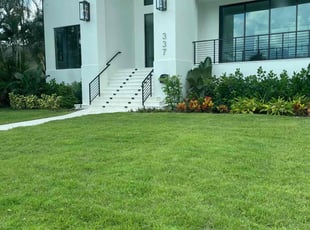 Theaortres M.'s lawn maintenance service result