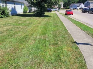 Lacey G.'s turf care service result
