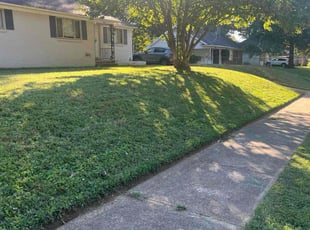 Anthony E.'s lawn care services service result