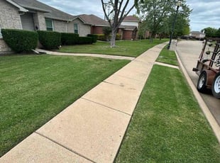 Lawrence D.'s turf care service result