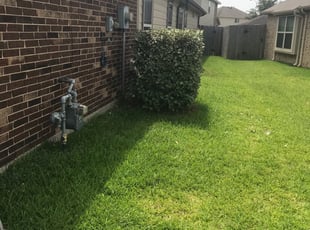 Xavier G.'s Bush Trimming service result