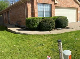 Virginia L.'s Flower Bed Weeding service result