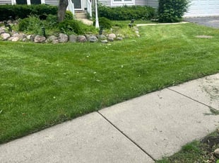 Jennifer W.'s grass cutting service result