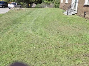 Vanessa T.'s turf care service result