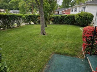 Francine D.'s grass cutting service result