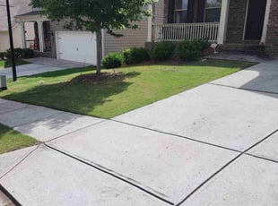 Ceray D.'s turf maintenance service result