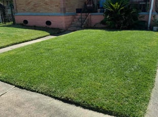 Nicholi H.'s grass maintenance service result