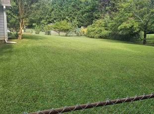 Seth S.'s lawn service service result