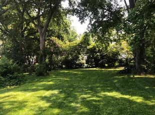 Maribel T.'s grass cutting service result