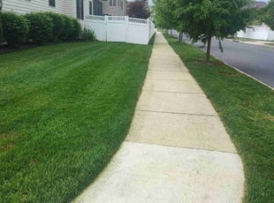 Jennifer T.'s lawn care service result