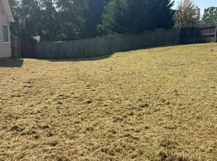 Lausche R.'s turf maintenance service result