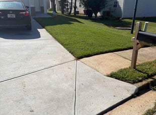 Arturo M.'s lawn care services service result