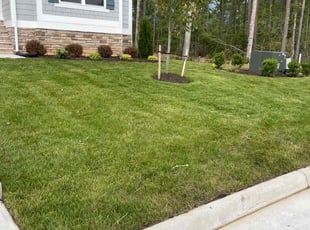 Yvonne N.'s grass maintenance service result