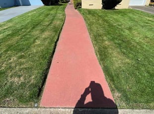 Georgeann F.'s grass maintenance service result