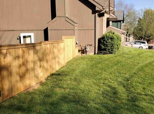 Judy R.'s lawn maintenance service result