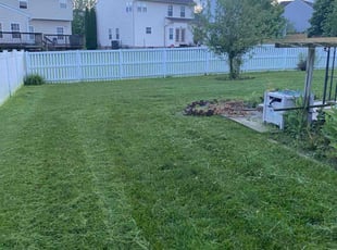 Neil S.'s turf care service result