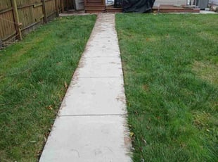 Ed S.'s Leaf Removal service result