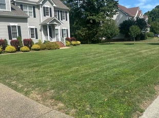 Shef I.'s grass cutting service result