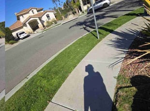 Joseph E.'s grass cutting service result