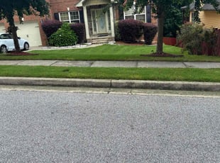 Courtney H.'s grass cutting service result