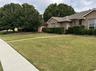 Linda D.'s turf care service result