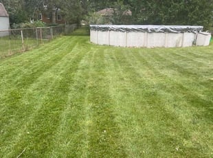 "Rita F.'s lawn care service result