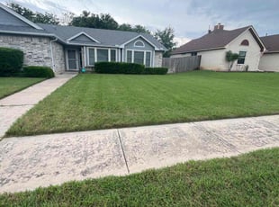 Terry A.'s lawn maintenance service result