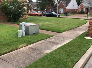 Kentra M.'s lawn service service result