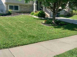 Erica J.'s grass cutting service result