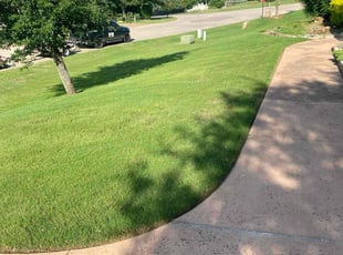 Michelle M.'s lawn service service result