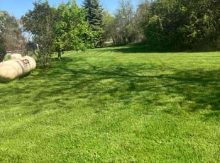 Chris C.'s lawn service service result