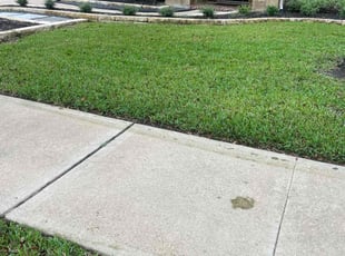Sharon C.'s lawn maintenance service result