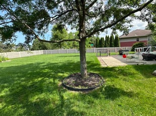 Yaling L.'s Tree Care service result